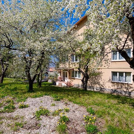 Casa Cu Cires Brasov Lägenhet Exteriör bild