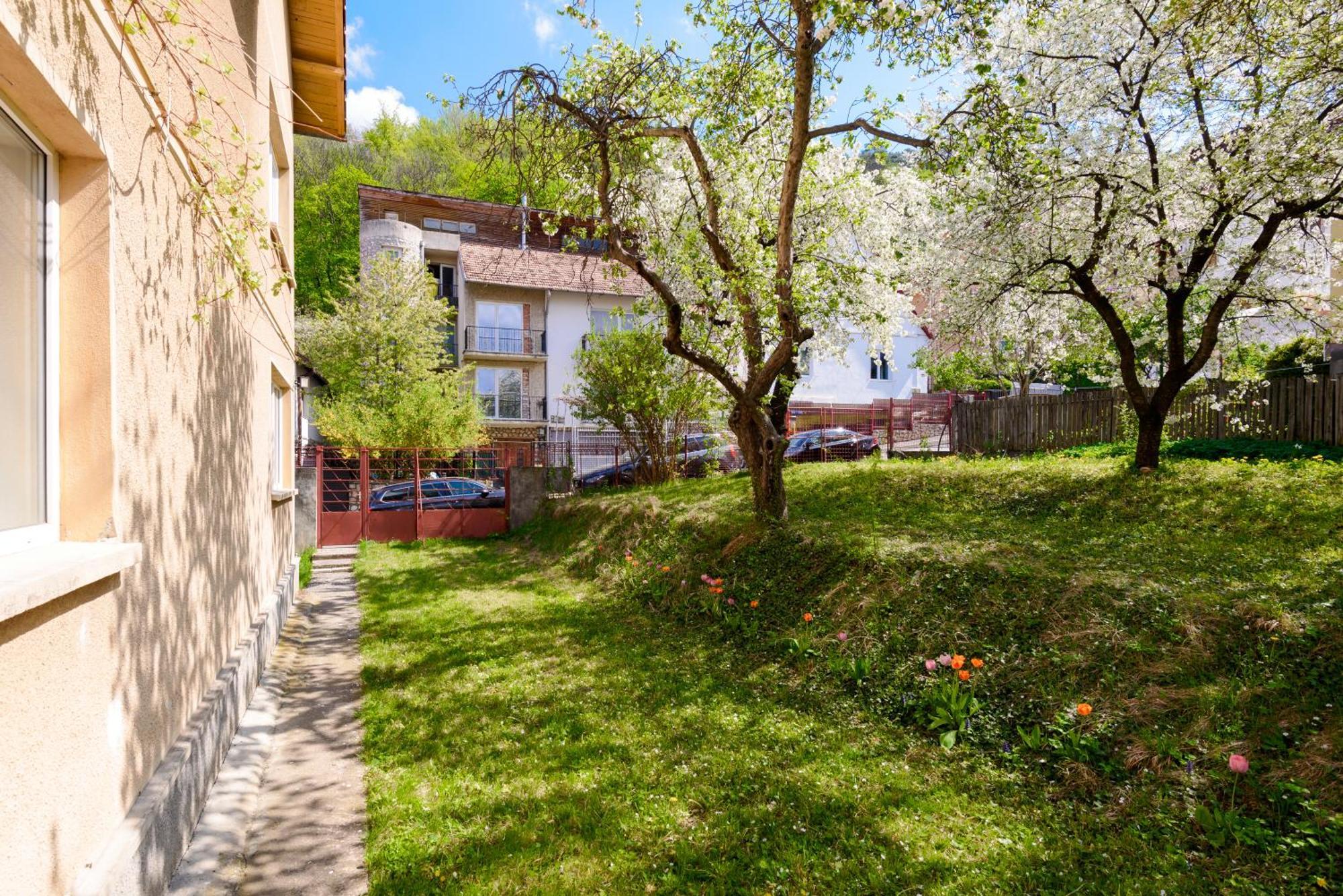 Casa Cu Cires Brasov Lägenhet Exteriör bild