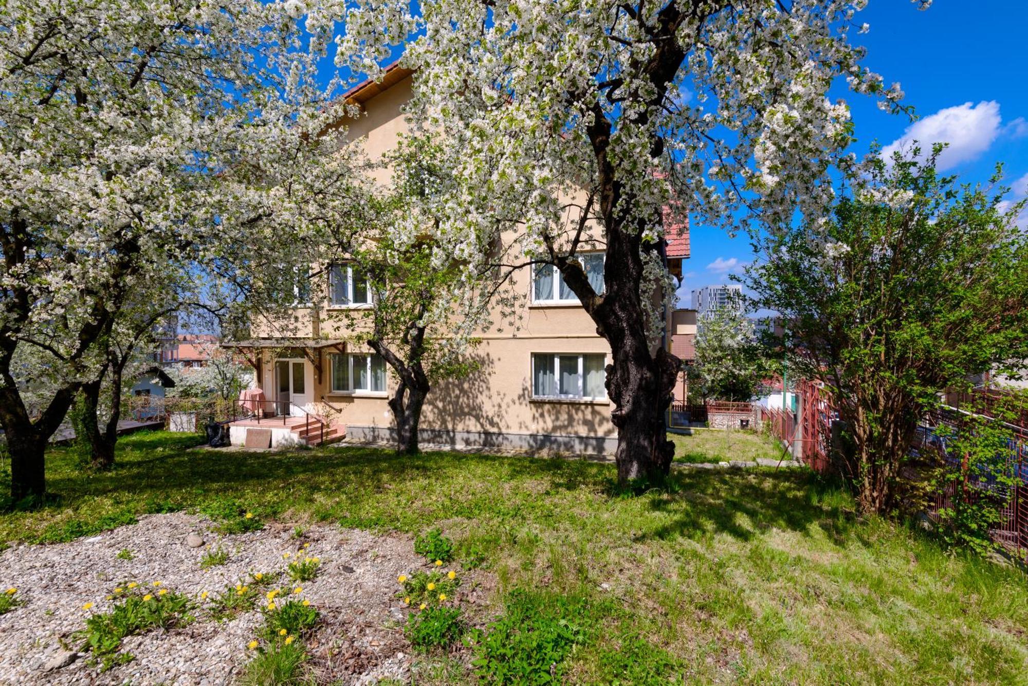 Casa Cu Cires Brasov Lägenhet Exteriör bild